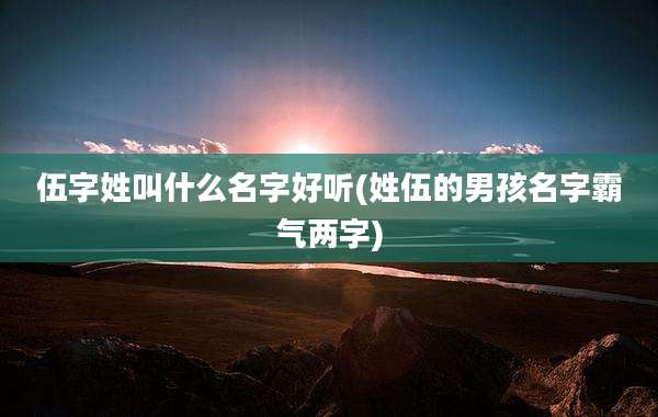 伍字姓叫什么名字好听(姓伍的男孩名字霸气两字)