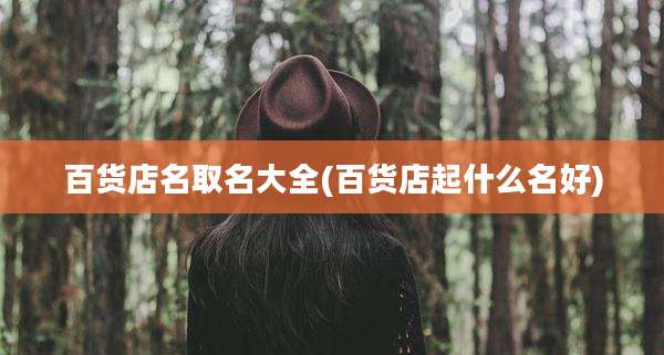 百货店名取名大全(百货店起什么名好)