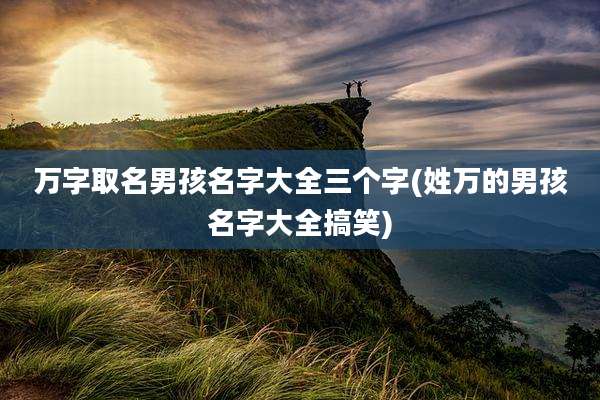 万字取名男孩名字大全三个字(姓万的男孩名字大全搞笑)