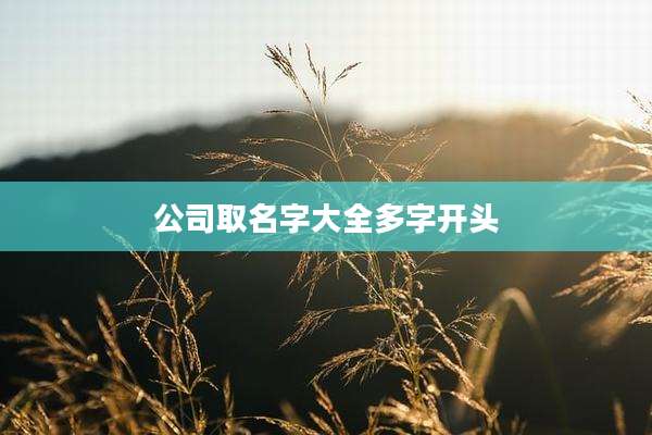 公司取名字大全多字开头