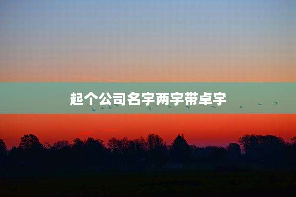 起个公司名字两字带卓字