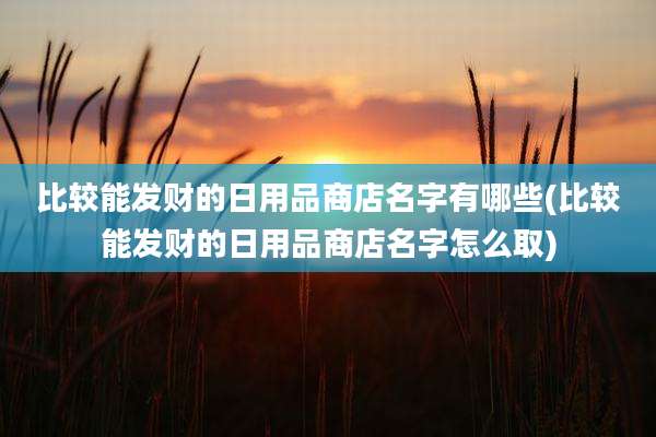 比较能发财的日用品商店名字有哪些(比较能发财的日用品商店名字怎么取)