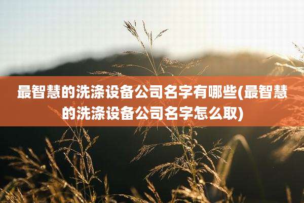 最智慧的洗涤设备公司名字有哪些(最智慧的洗涤设备公司名字怎么取)