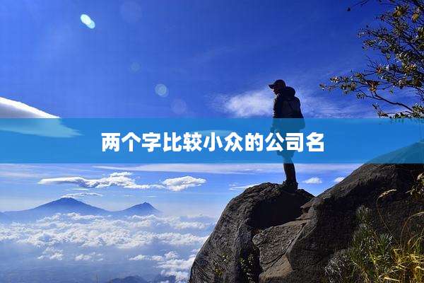 两个字比较小众的公司名