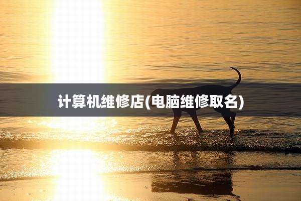 计算机维修店(电脑维修取名)