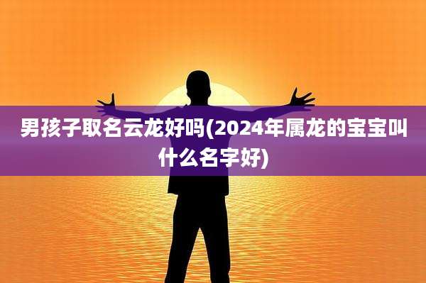 男孩子取名云龙好吗(2024年属龙的宝宝叫什么名字好)