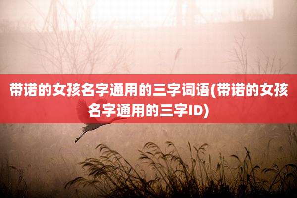 带诺的女孩名字通用的三字词语(带诺的女孩名字通用的三字ID)