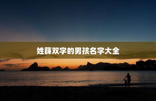 姓薛双字的男孩名字大全