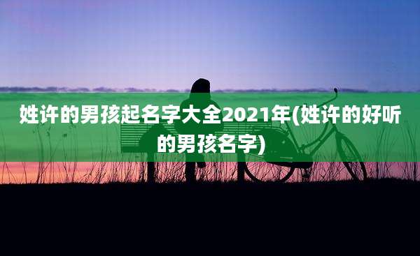 姓许的男孩起名字大全2021年(姓许的好听的男孩名字)