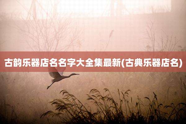 古韵乐器店名名字大全集最新(古典乐器店名)