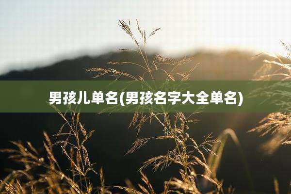 男孩儿单名(男孩名字大全单名)