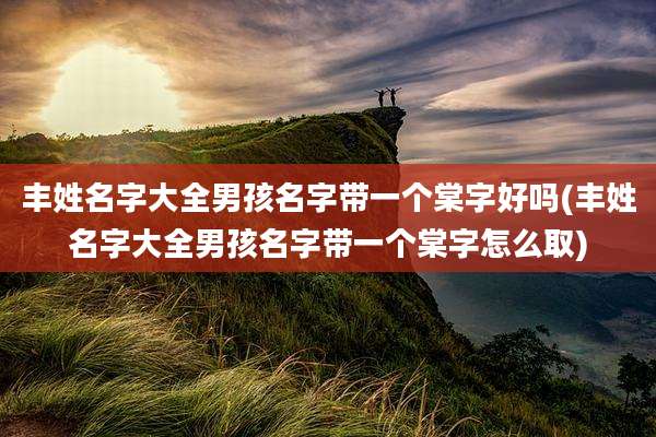 丰姓名字大全男孩名字带一个棠字好吗(丰姓名字大全男孩名字带一个棠字怎么取)