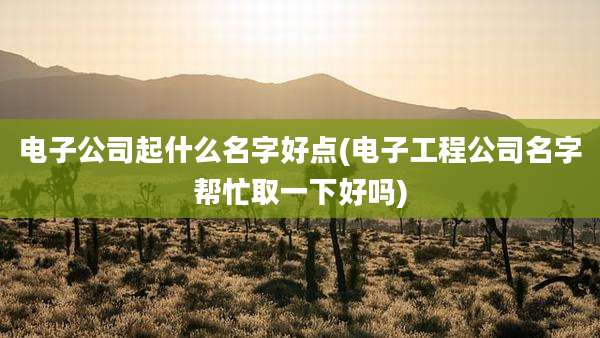 电子公司起什么名字好点(电子工程公司名字帮忙取一下好吗)
