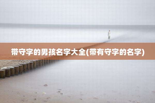 带守字的男孩名字大全(带有守字的名字)