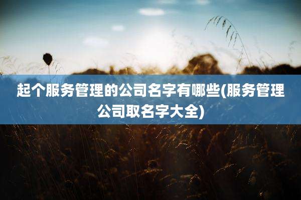 起个服务管理的公司名字有哪些(服务管理公司取名字大全)