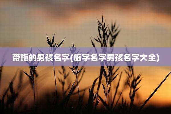 带施的男孩名字(施字名字男孩名字大全)