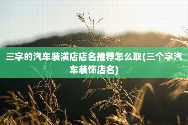 三字的汽车装潢店店名推荐怎么取(三个字汽车装饰店名)