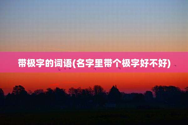 带极字的词语(名字里带个极字好不好)