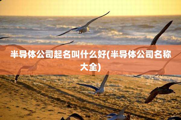半导体公司起名叫什么好(半导体公司名称大全)