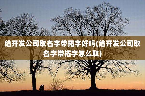 给开发公司取名字带拓字好吗(给开发公司取名字带拓字怎么取)