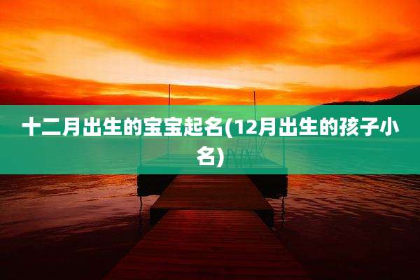 十二月出生的宝宝起名(12月出生的孩子小名)