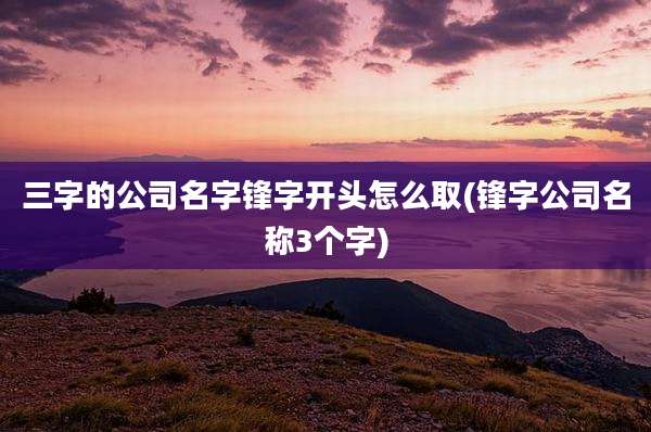 三字的公司名字锋字开头怎么取(锋字公司名称3个字)