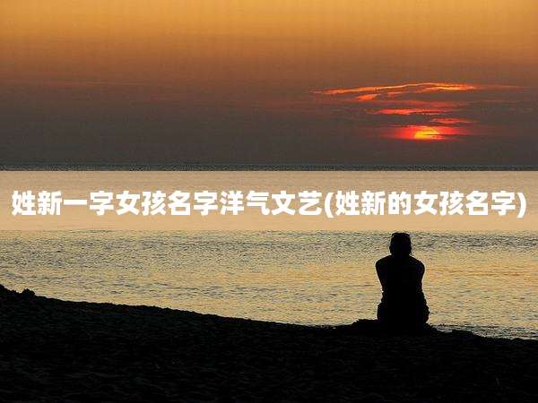姓新一字女孩名字洋气文艺(姓新的女孩名字)
