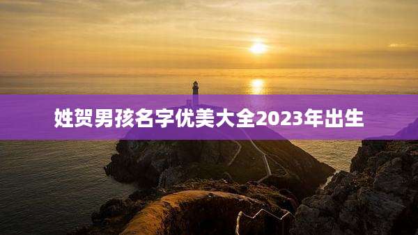 姓贺男孩名字优美大全2023年出生