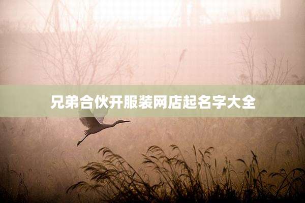 兄弟合伙开服装网店起名字大全