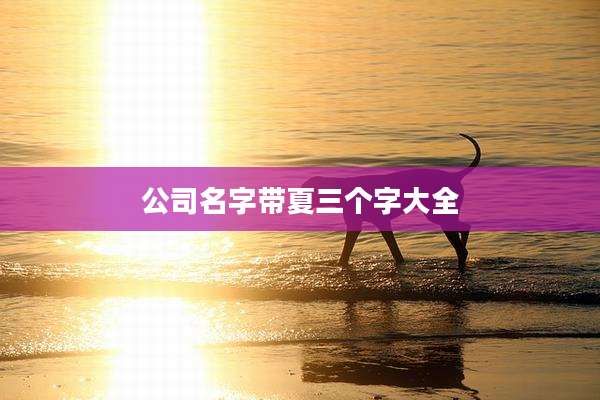 公司名字带夏三个字大全