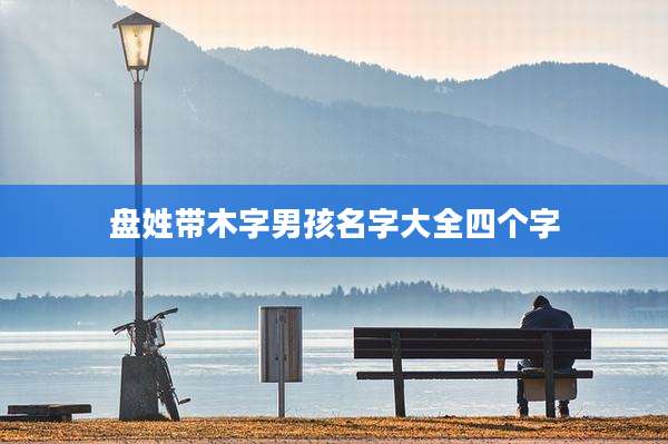 盘姓带木字男孩名字大全四个字