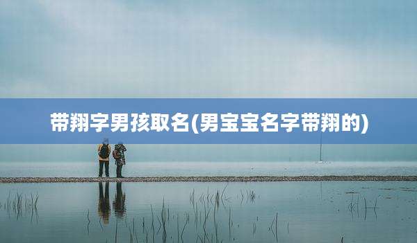 带翔字男孩取名(男宝宝名字带翔的)