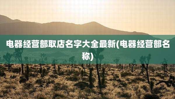 电器经营部取店名字大全最新(电器经营部名称)