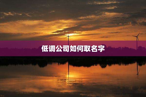 低调公司如何取名字