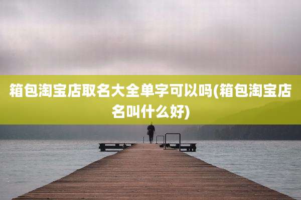 箱包淘宝店取名大全单字可以吗(箱包淘宝店名叫什么好)