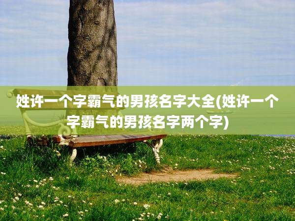 姓许一个字霸气的男孩名字大全(姓许一个字霸气的男孩名字两个字)