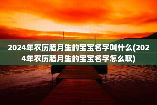 2024年农历腊月生的宝宝名字叫什么(2024年农历腊月生的宝宝名字怎么取)