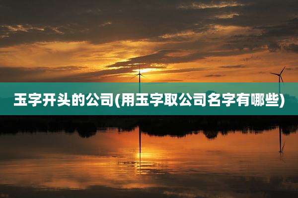 玉字开头的公司(用玉字取公司名字有哪些)