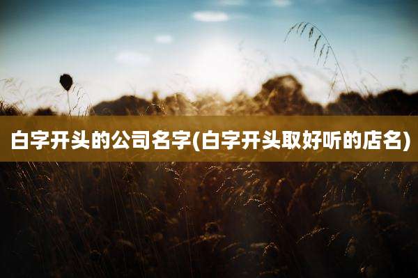 白字开头的公司名字(白字开头取好听的店名)