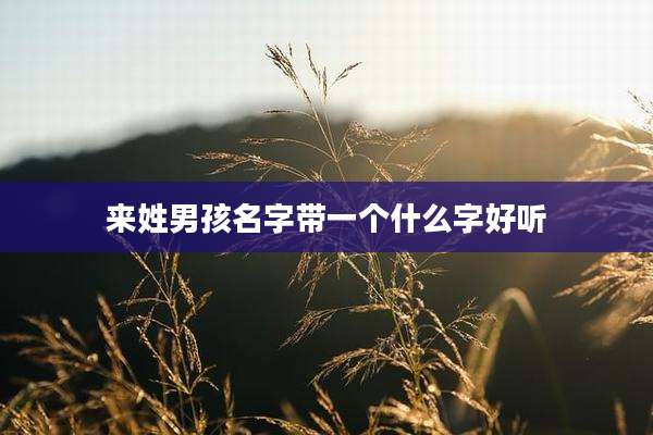 来姓男孩名字带一个什么字好听