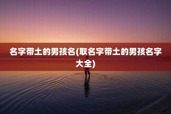 名字带土的男孩名(取名字带土的男孩名字大全)
