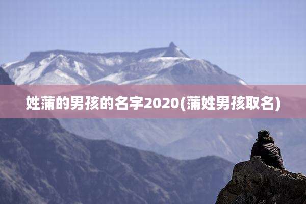 姓蒲的男孩的名字2020(蒲姓男孩取名)