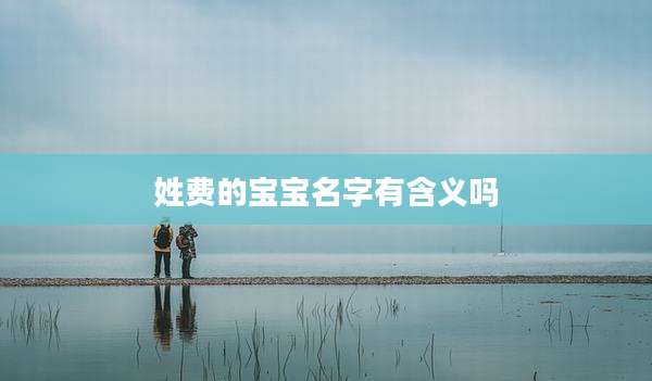姓费的宝宝名字有含义吗