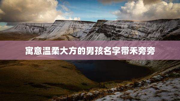 寓意温柔大方的男孩名字带禾旁旁