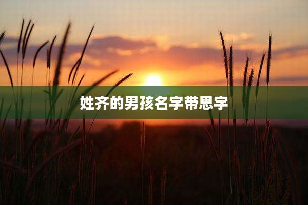 姓齐的男孩名字带思字