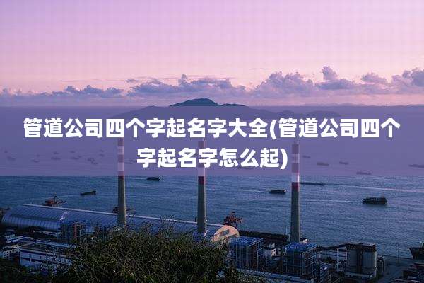 管道公司四个字起名字大全(管道公司四个字起名字怎么起)
