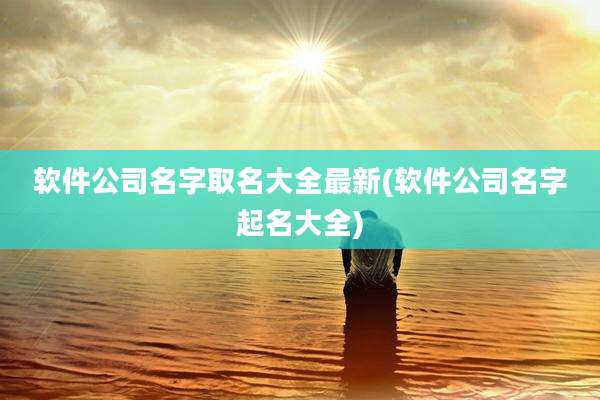 软件公司名字取名大全最新(软件公司名字起名大全)