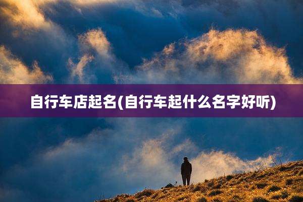 自行车店起名(自行车起什么名字好听)