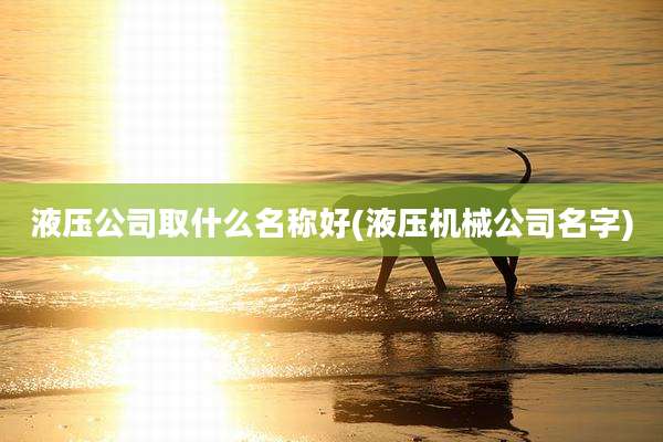 液压公司取什么名称好(液压机械公司名字)
