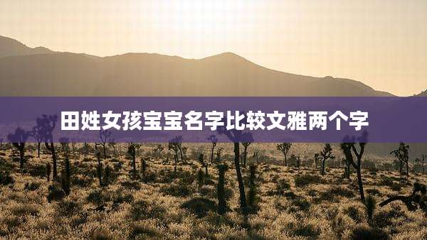 田姓女孩宝宝名字比较文雅两个字